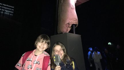 Visite de l'exposition Toutânkhamon, Le Trésor du Pharaon, avec les élèves franco-italiens de l'école, Instituto statale italiano, à Paris. (INGRID POHU / RADIO FRANCE)