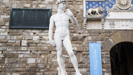 Reproduction du "David" de Michel-Ange sur la place de la Seigneurie, illustration de la ville de Florence, dans la région de Toscane, en Italie. (FIORA GARENZI / HANS LUCAS)