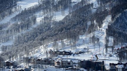 Dédié au ski acrobatique et au snowboard, le parc extrême "Rosa Khutor" a été implanté au beau milieu d'une forêt. (KIRILL KUDRYAVTSEV / AFP)