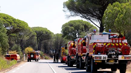 Des pompiers du Var sur le terrain lors d'incendies en août 2021. (VALERIE LE PARC / MAXPPP)