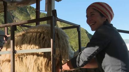 Le métier de berger est l’un des plus vieux du monde, et attire aujourd’hui de plus en plus de jeunes. En France, un berger sur quatre a moins de quarante ans. (CAPTURE ECRAN FRANCE 2)