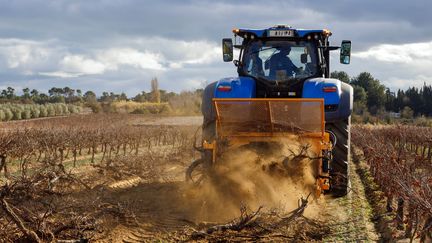 La chute du gouvernement Barnier a mis un coup d'arrêt aux actions des agriculteurs. (JEAN-MARC LALLEMAND / MAXPPP)