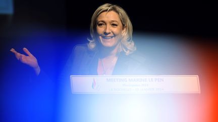 La pr&eacute;sidente du Front national Marine Le Pen lors d'un meeting &agrave; La Rochelle, le 28 janvier 2014. (XAVIER LEOTY / AFP)