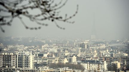 Les toits de Paris sous un nuage de pollution, le 18 mars 2015. (FRANCK FIFE / AFP)