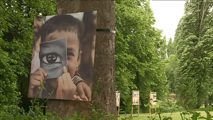 Les expositions se déroulent dans le parc de l'abbaye de l'Epau. 
 (Capture d&#039;écran France 3 Pays de la Loire )