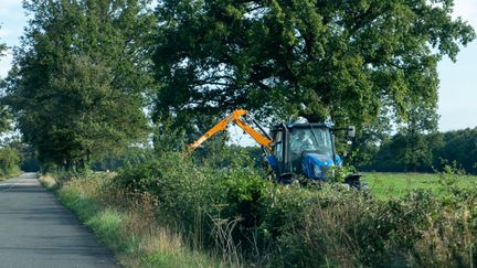 Un agriculteur qui taille une haie sur son exploitation, le 21 septembre 2024, à Ygrande (Allier). (LAGEAT PERROTEAU / HANS LUCAS / AFP)