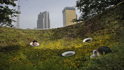 Un couple se prend en photo dans un parc &agrave; Tokyo (Japon), le 19 mai 2014. (SHIZUO KAMBAYASHI / AP / SIPA)