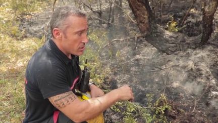 Incendie dans l'Aveyron : grâce aux averses, le feu ne progresse plus