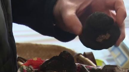 Dordogne : ouverture du marché aux truffes de Saint-Alvère (France 2)