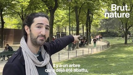 Des arbres vieux de plusieurs centaines d’années vont être abattus au pied de la tour Eiffel, pour permettre à la ville de Paris de construire un projet immobilier. Cette décision est qualifiée d’anti-écologique et fait polémique.&nbsp; (BRUT / FRANCEINFO)