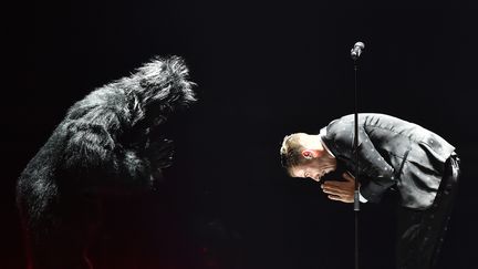 Francesco Gabbani et son gorille représentent l'Italie au 62e concours de l'Eurovision qui se tient, samedi 13 mai, à Kiev (Ukraine).&nbsp; (SERGEI SUPINSKY / AFP)