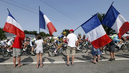 Des supporters fran&ccedil;ais lors de la 14e &eacute;tape du Tour de France, le 13 juillet 2013 pr&egrave;s de Lyon (Rh&ocirc;ne). (JEAN-PAUL PELISSIER / REUTERS)