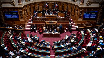 L'hémicycle du Sénat, le 3 mars 2023. (AMAURY CORNU / HANS LUCAS / AFP)