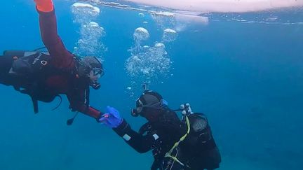 Alpes : plongée dans les eaux glaciales