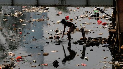 Une majorité de coraux, d'oiseaux ou encore de poissons sont menacés par l'activité humaine d'ici quelques décennies, selon une vaste enquête scientifique révélée&nbsp;le 23 mars 2018. (HERIANUS HERIANUS / EYEEM)