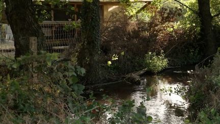 Fermes : quand la nature reprend ses droits (France 2)