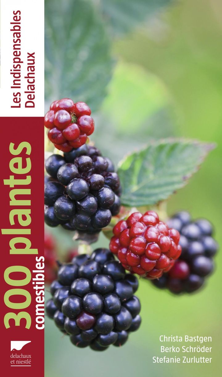 Le guide des plantes sauvages comestibles&nbsp; (EDITIONS DELACHAUX)