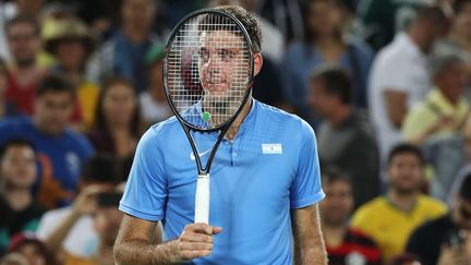 Juan Martin Del Potro après sa victoire contre Novak Djokovic. (OKAN OZER / ANADOLU AGENCY)