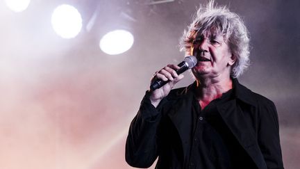 Le chanteur Jacques Higelin en 2013
 (Samuel Boivin / CrowdSpark)