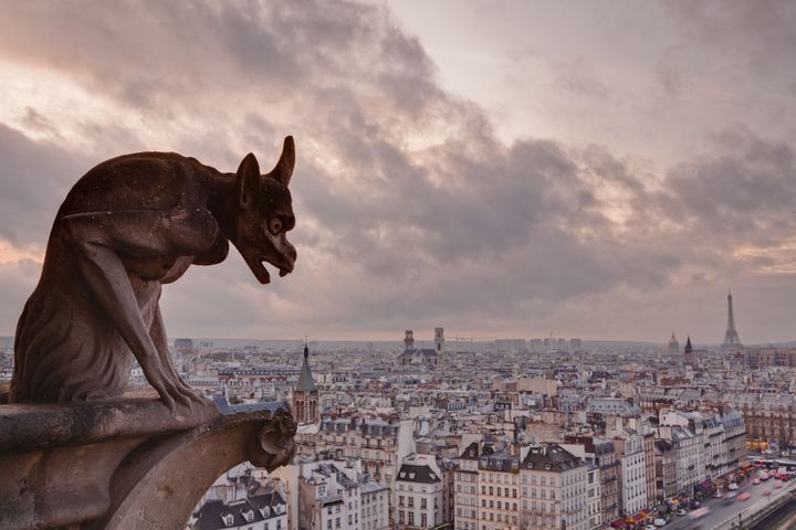 Gargouille de Notre Dame de Paris
 (Julian Elliott / Robert Harding Premium / Robert Harding)