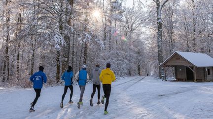 Des joggeurs traversent une forêt à Stuttgart, capitale du Bade-Wurtemberg (Allemagne), le 3 décembre 2023. (GEORG MORITZ / DPA)