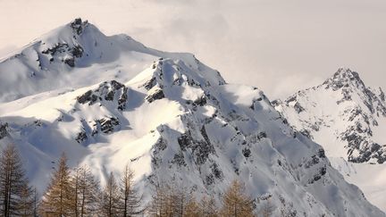 Enneigement dans les Alpes, janvier 2024.(Photo d'illustration). (GREGORY YETCHMENIZA / MAXPPP)