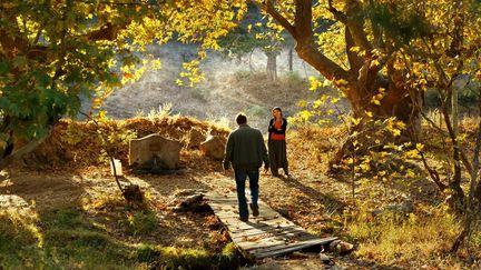 "Le Poirier sauvage" de Nuri Bilge Ceylan
 (Nuri Bilge Ceylan films)