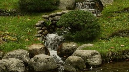 Patrimoine : à la découverte du fabuleux jardin d'Albert Kahn