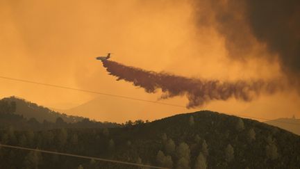 Un canadair jette de l'eau pour lutter contre le feul toujours autour du lac Clear, en Californie, le 1er ao&ucirc;t 2015. (JOSH EDELSON / AFP)