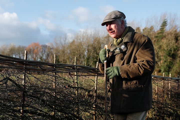 Le prince de Galles assiste à la pose de haies dans son domaine d'Highgrove en Angleterre, le 4 décembre 2021. (WPA / GETTY IMAGES EUROPE)