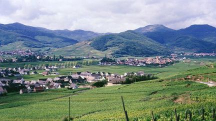 Après plusieurs années d'absence, le Tour de France effectue son retour dans les Vosges.