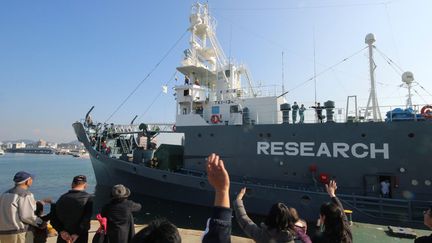 Ce navire quitte le port de Shimonoseki à l'ouest du Japon, le 1er décembre 2015. Il va reprendre la chasse à la baleine dans l'Antarctique après une pause d'un an. Cette pause avait été imposée par la justice internationale. Sur la coque du navire on peut lire «research», les Japonais affirmant que la chasse aux mammifères marins a des motifs scientifiques... Ce que nient les écologistes. (JIJI PRESS / AFP)