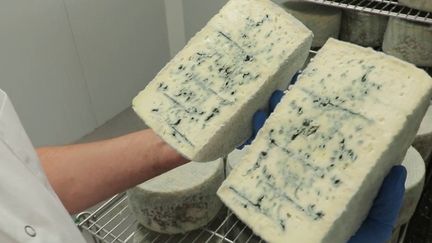 Gastronomie : à la découverte du fromage bleu d'Amérique