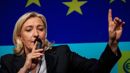 Marine Le Pen pendant un d&eacute;bat sur les &eacute;lections europ&eacute;ennes, le 7 avril 2014, &agrave; Arras (Pas-de-Calais). (EMMANUEL KUTYLA / AFP)