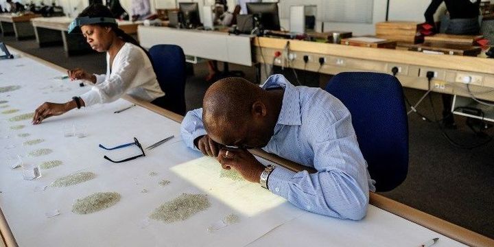 Des employés évaluent la qualité des diamants (GIANLUIGI GUERCIA / AFP)