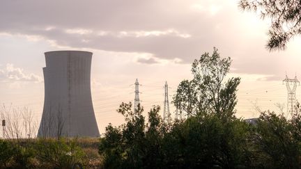 Les tours de refroidissement de la centrale nucléaire de Saint-Paul-Trois-Châteaux (Drôme), le 26 juin 2022. (NICOLAS GUYONNET / HANS LUCAS / AFP)