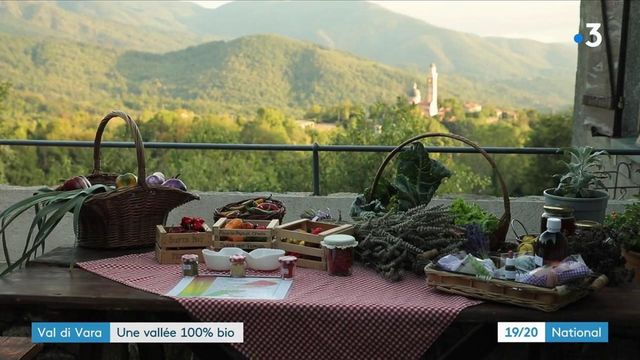 Italia: Val de Vara, la valle dove si gioca il gioco dell'agricoltura 100% biologica