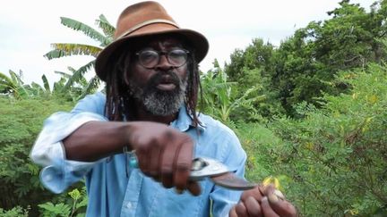 Guadeloupe : un passionné fait revivre la tradition de l'indigo (CAPTURE D'ÉCRAN FRANCE 3)