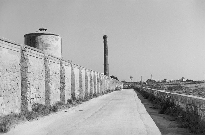 Ile de Favignana, Italie 2008 
 (Bernard Plossu )