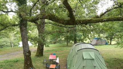 Vue d'un camping à la ferme à Alçay, en Haute-Soule (Pyrénées-Atlantiques). (JACQUES PONS / RADIOFRANCE)