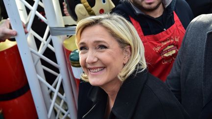 La présidente du Front national, Marine Le Pen, le 8 décembre 2016 à Paris. (CHRISTOPHE ARCHAMBAULT / AFP)