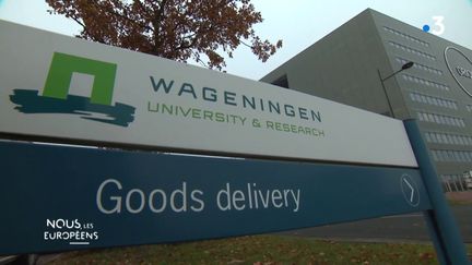 VIDEO. Pays-Bas : 15 000 étudiants, chercheurs et entrepreneurs mijotent la nourriture du futur sur le campus de la "Food Valley"