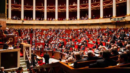 L'h&eacute;micycle de l'Assembl&eacute;e nationale, &agrave; Paris, le 3 f&eacute;vrier 2015. (CITIZENSIDE/JALLAL SEDDIKI / CITIZENSIDE.COM)