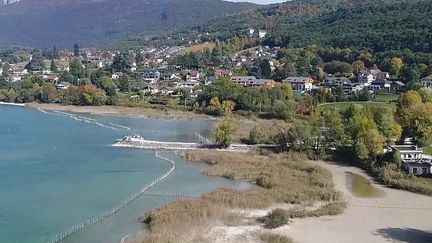 Écologie : le lac du Bourget se vide pour sauver les roseaux