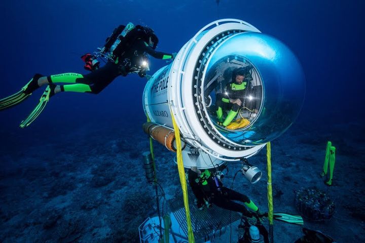 Ghislain Bardout et son programme "Under the pole" pour répertorier les images de la flore et de la faune sous-marines. (UNDER THE POLE / ZEPPELIN)