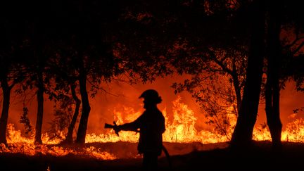 Un pompier lors d'un feu de forêt à Samos (Gironde), le 12 septembre 2022. (PHILIPPE LOPEZ / AFP)