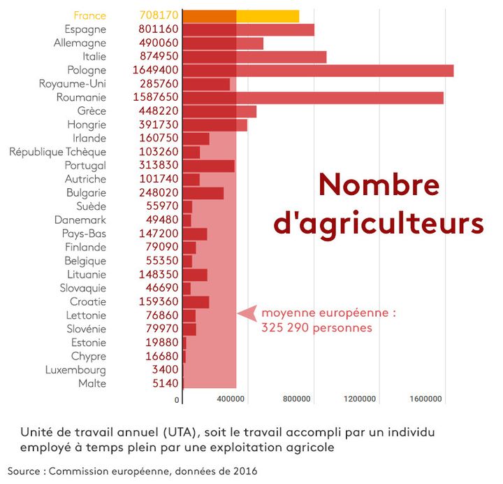 Nombre d'agriculteurs&nbsp;en Europe en 2016 (STEPHANIE BERLU / RADIO FRANCE)