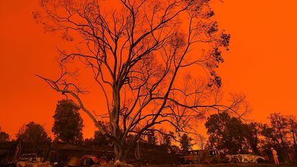 Un ciel écarlate surplombe des voiture détruites par le feu à Redding en Californie, le 27 juillet 2018.&nbsp; (JUSTIN SULLIVAN / GETTY IMAGES / AFP)