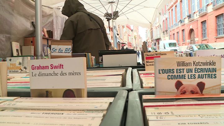 Toulouse&nbsp; (Marché aux livres)