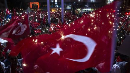  (Manifestation de pro-Erdogan samedi soir à Istanbul © Arif Hudaverdi Yaman / ANADOLU AGENCY)